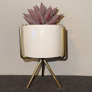 Elegant Faux Succulent in White Planter with Gold Stand